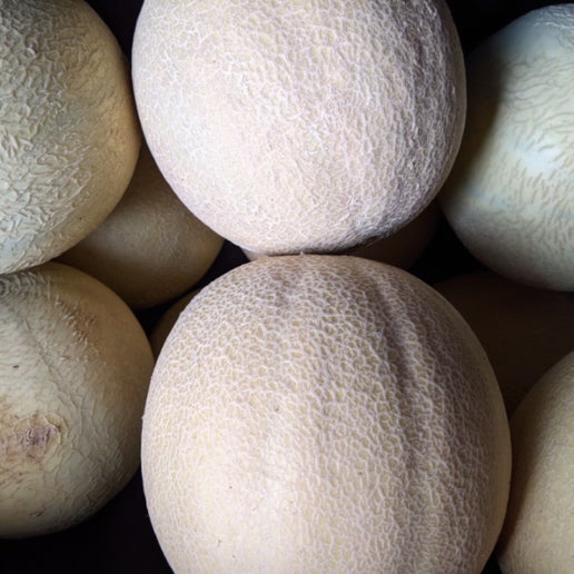 Melons Nuts About Berries